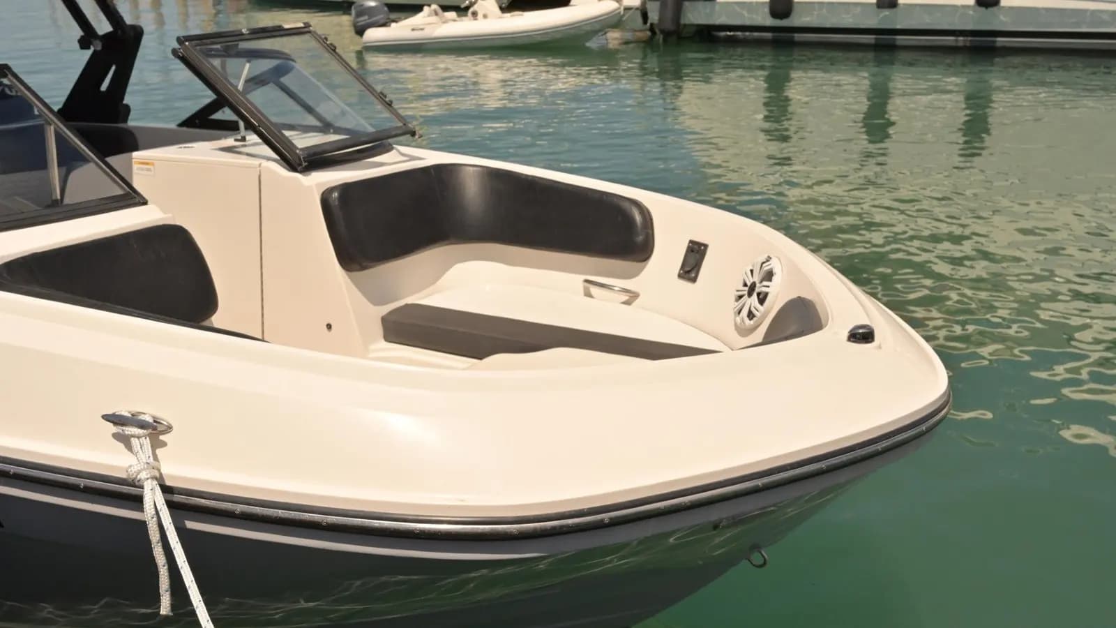 Bayliner 23FT